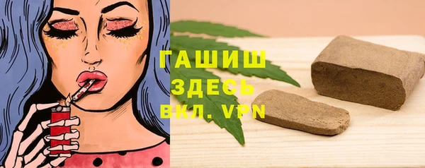 гашик Гусев