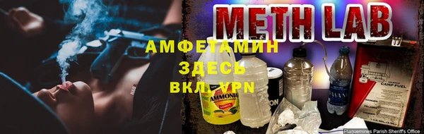 гашик Гусев
