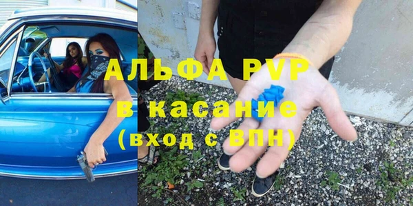 гашик Гусев