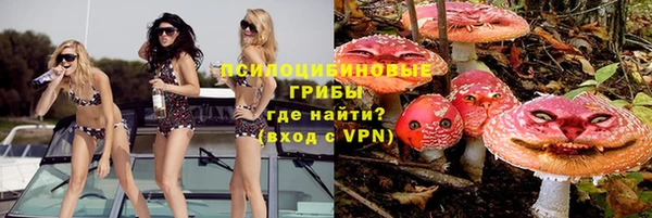 круглые Гусиноозёрск