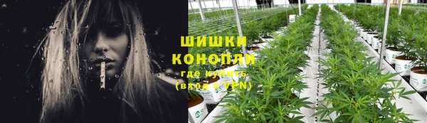 экстази Гусь-Хрустальный