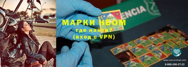 гашик Гусев