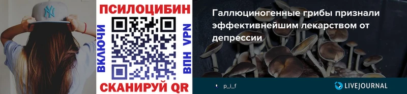 Псилоцибиновые грибы Cubensis  Горячеводский 